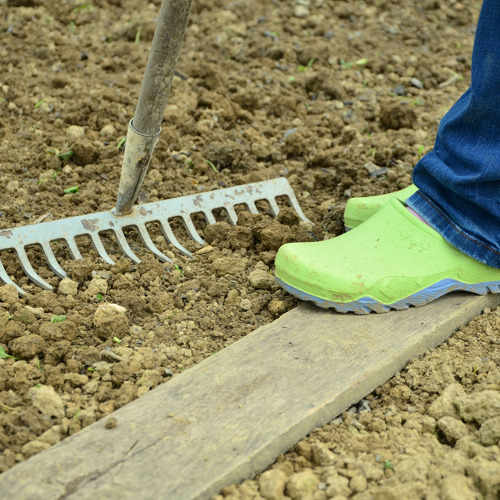 Der Boden - das Zuhause unserer Gartenpflanzen    